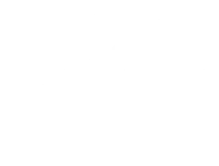 FIPSI Sevilla